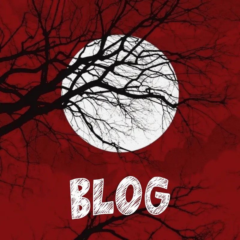 shaheen blog 3 social media marketer analyst in calicut